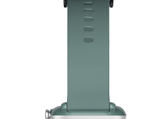 Amazfit GTS 2 mini Sage Green