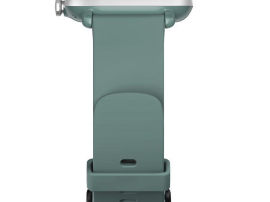 Amazfit GTS 2 mini Sage Green