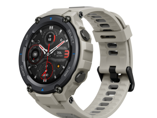 Amazfit T-Rex Pro Desert Grey