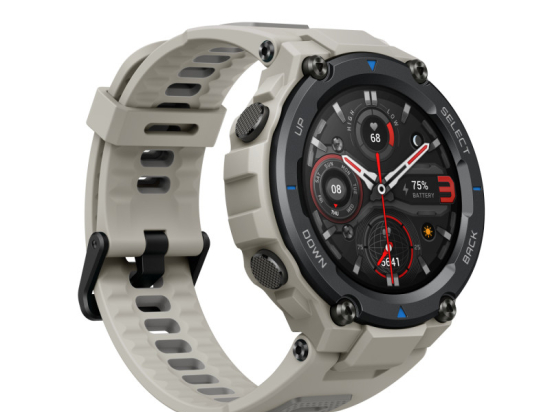 Amazfit T-Rex Pro Desert Grey