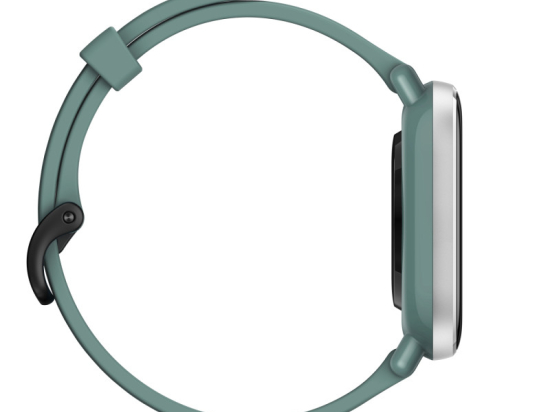 Amazfit GTS 2 mini Sage Green