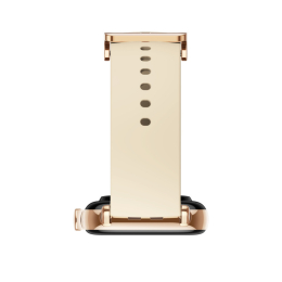 Amazfit GTS 2 Desert Gold