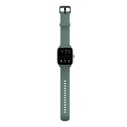 Amazfit GTS 2 mini Sage Green